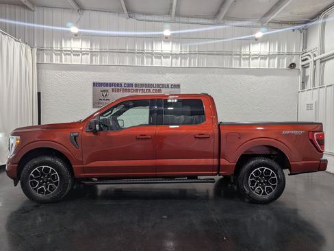 Used 2023 Ford F150 XLT w/ Equipment Group 302A High image 2