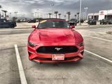 Used 2019 Ford Mustang Premium image 2