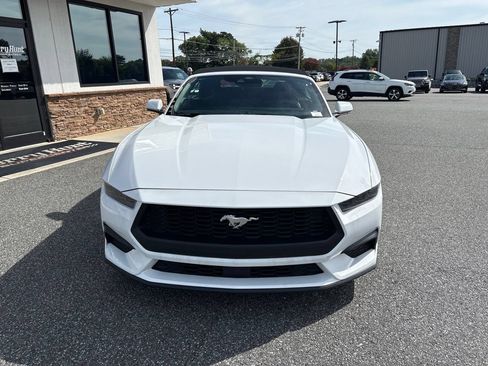 Used 2025 Ford Mustang Premium RWD image 12