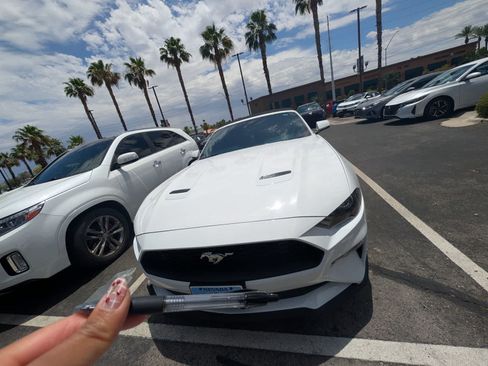 Used 2023 Ford Mustang Premium w/ Equipment Group 201A RWD image 2