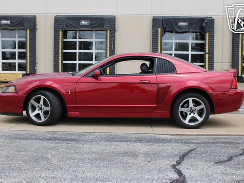 Used 2003 Ford Mustang Cobra RWD image 5