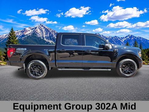 Used 2025 Ford F150 XLT w/ Equipment Group 302A MID AWD/4WD image 3