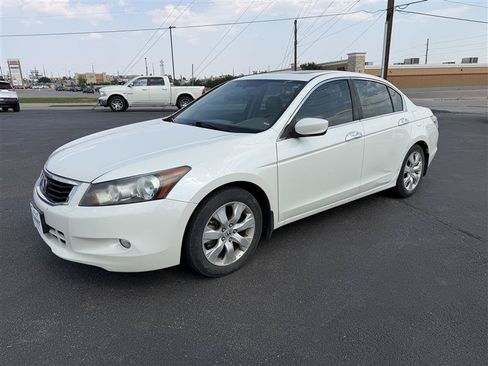 Used 2010 Honda Accord EX-L image 4