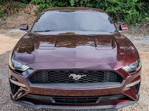 Used 2018 Ford Mustang Coupe w/ Ecoboost Performance Package RWD image 8