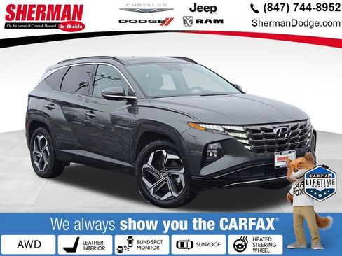 Used 2024 Hyundai Tucson Limited image 1