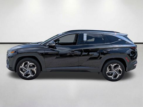 Used 2024 Hyundai Tucson Limited AWD/4WD image 7