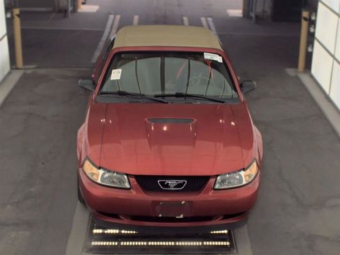 Used 2000 Ford Mustang Convertible RWD image 2