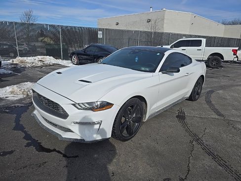 Used 2021 Ford Mustang Coupe w/ Equipment Group 101A image 1