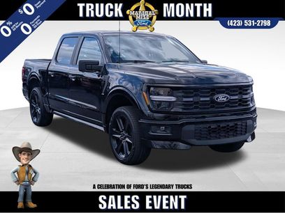 New 2025 Ford F150 STX w/ LOBO Package