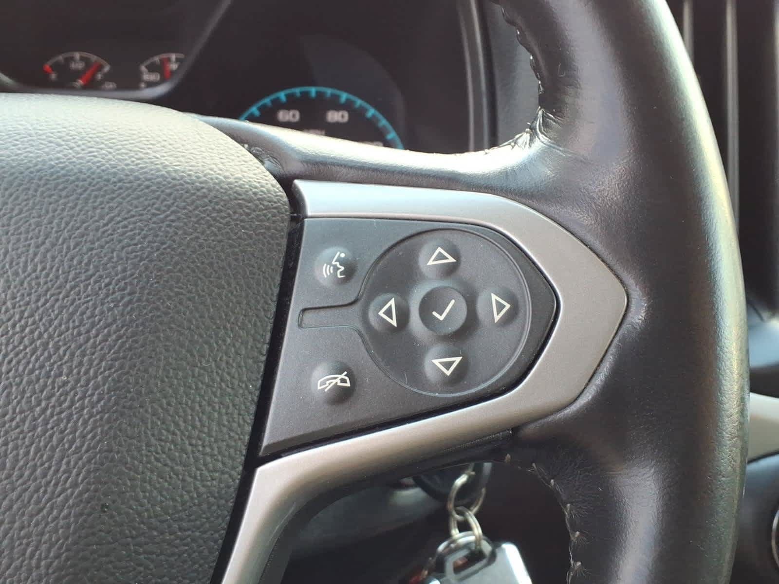 Used 2019 Chevrolet Colorado ZR2 w/ Colorado ZR2 Bison Edition AWD/4WD image 16