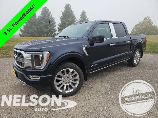 Used 2023 Ford F150 Limited AWD/4WD 360° Tour