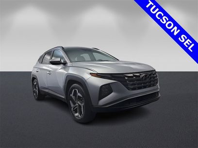 Used 2022 Hyundai Tucson SEL w/ Convenience + Premium Package