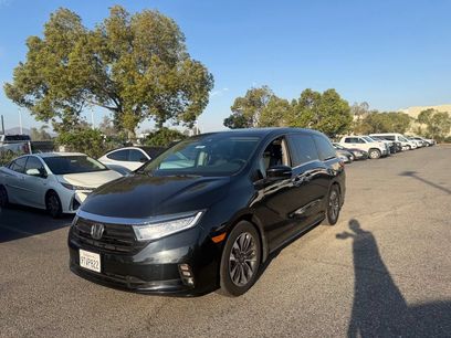Used 2023 Honda Odyssey EX-L