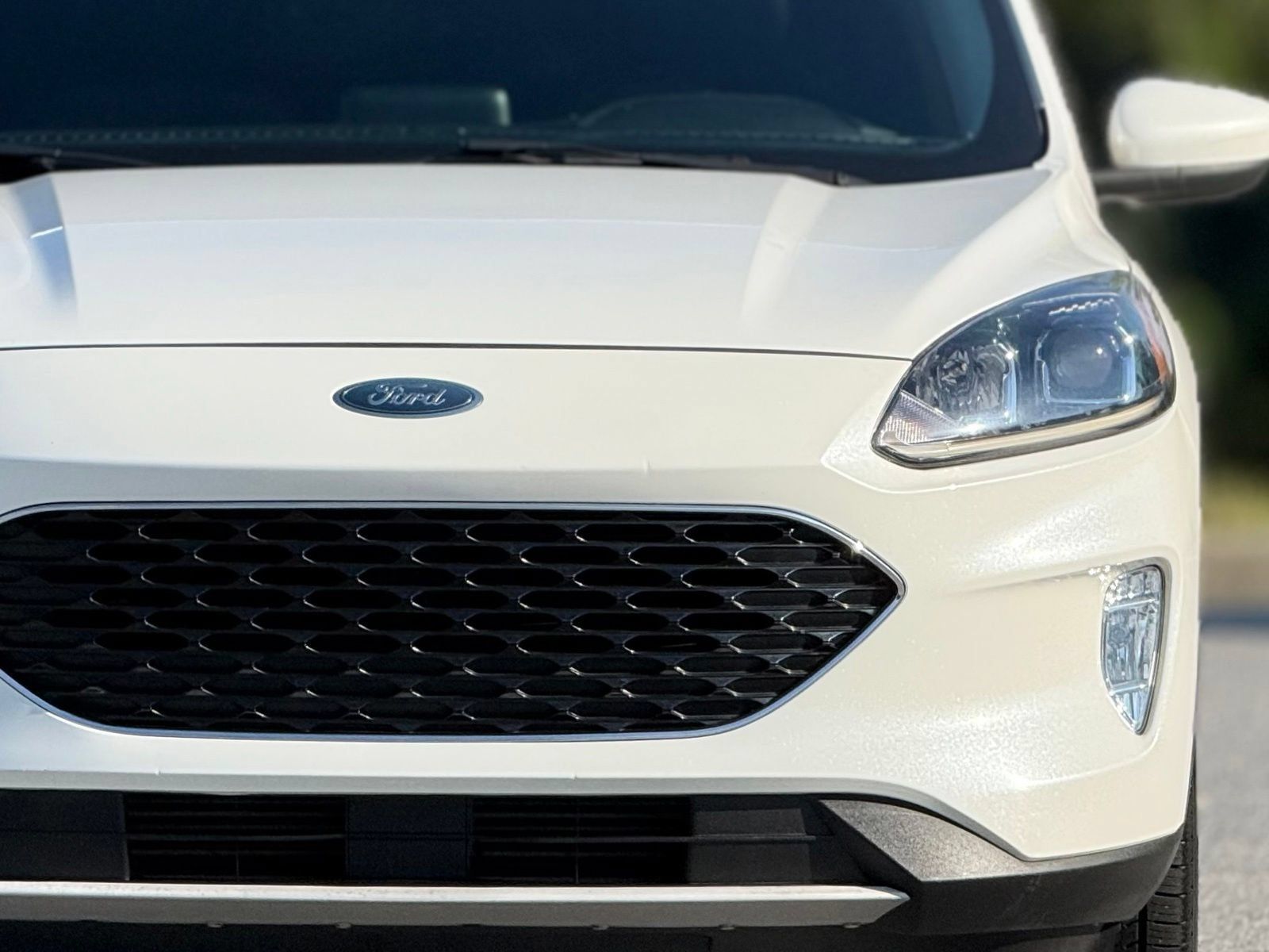 Used 2020 Ford Escape SEL FWD image 15