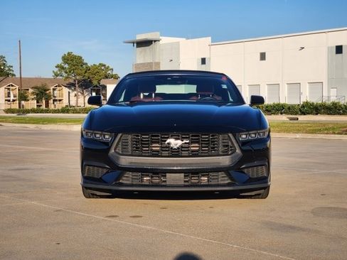 Certified 2025 Ford Mustang Premium image 2