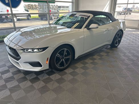 Used 2024 Ford Mustang Premium image 3