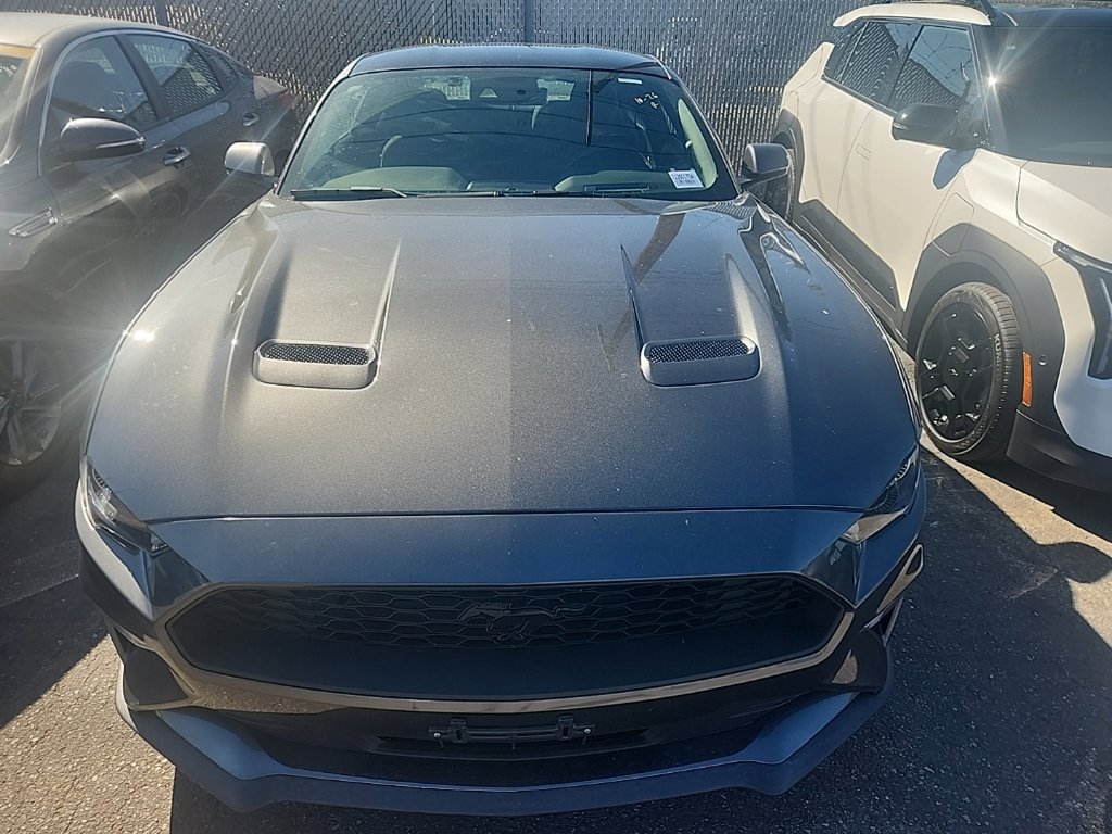 Used 2019 Ford Mustang Coupe w/ Equipment Group 101A RWD image 2
