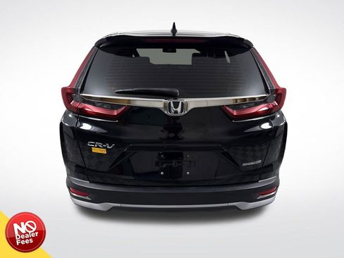 Used 2021 Honda CR-V Special Edition image 4