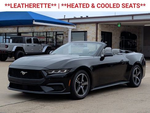 Used 2024 Ford Mustang Premium RWD image 3