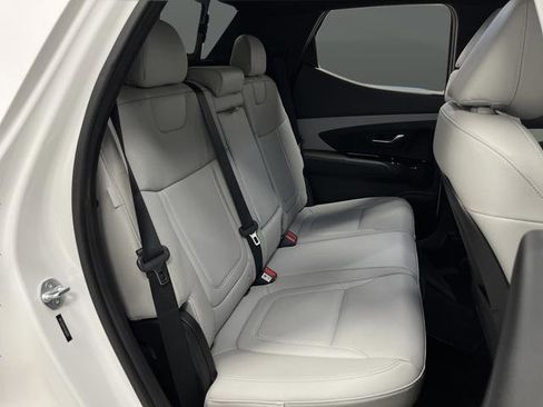 Used 2025 Hyundai Santa Cruz Limited image 40