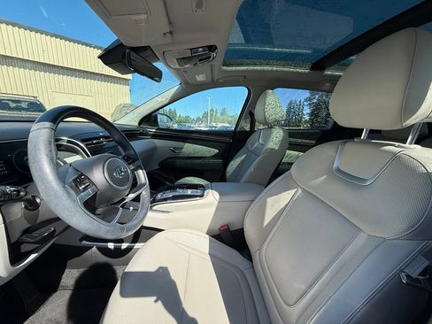 Used 2024 Hyundai Tucson Limited AWD/4WD image 6