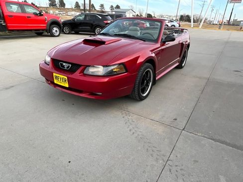 Used 2002 Ford Mustang GT image 6