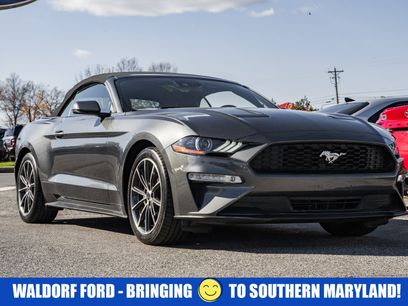 Certified 2019 Ford Mustang Premium w/ Equipment Group 201A