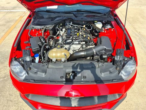 Used 2023 Ford Mustang Premium image 15