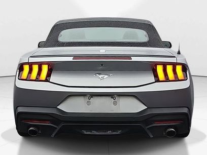 Used 2024 Ford Mustang Premium