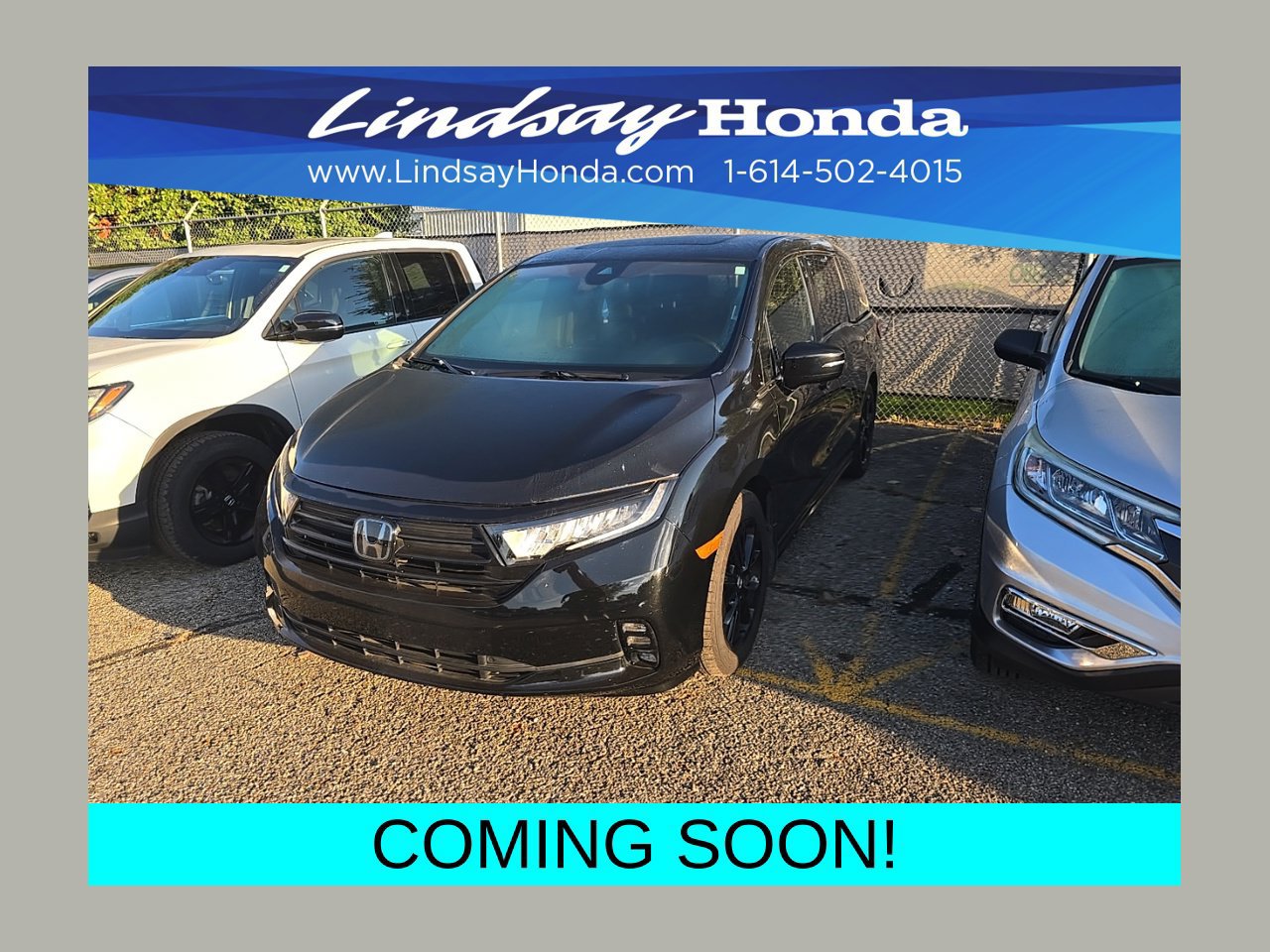 Used 2024 Honda Odyssey Sport image 1