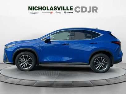 Used 2025 Lexus NX 350 AWD w/ Cold Area Package