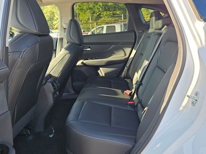 New 2025 Nissan Murano SL w/ Cargo Package