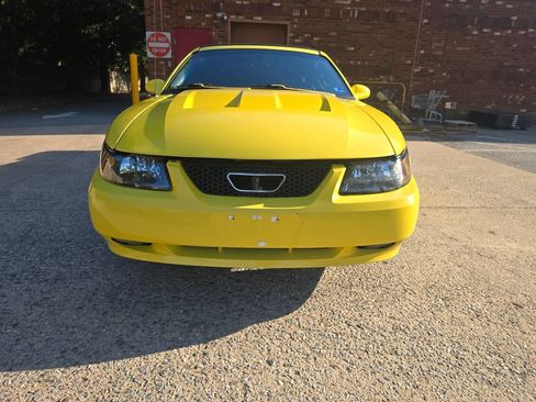 Used 2001 Ford Mustang Cobra RWD image 5