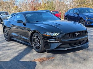 Used 2023 Ford Mustang Premium RWD video 2
