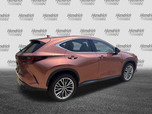 Certified 2025 Lexus NX 350 AWD w/ Cold Area Package image 10