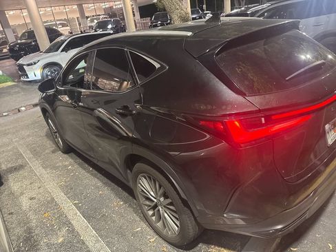 Used 2025 Lexus NX 350 AWD w/ Cold Area Package image 4