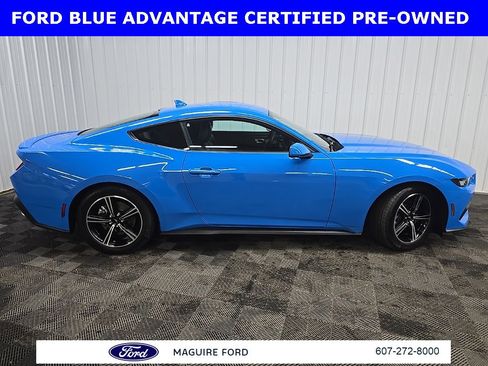 Certified 2024 Ford Mustang Premium image 3