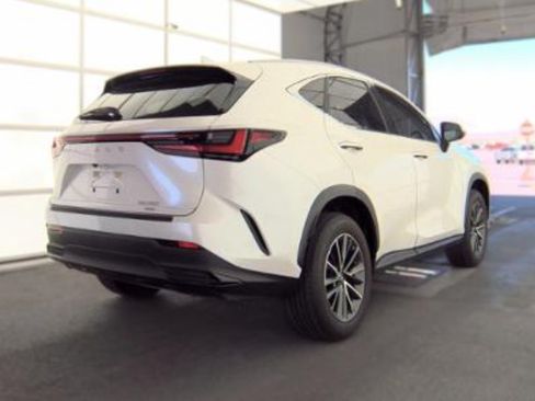 Used 2024 Lexus NX 350 AWD w/ Cold Area Package image 2