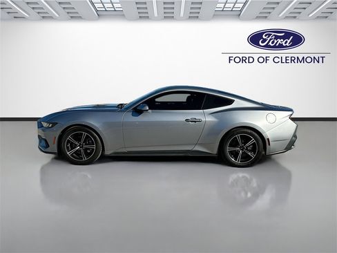 Used 2024 Ford Mustang EcoBoost image 4