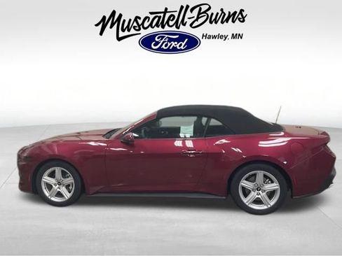 New 2026 Ford Mustang Premium image 4