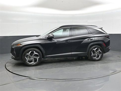 Used 2024 Hyundai Tucson Limited image 7