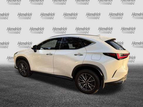 Used 2024 Lexus NX 350 AWD image 6
