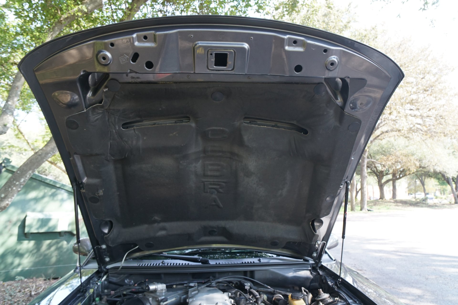 Used 2003 Ford Mustang Cobra RWD image 18
