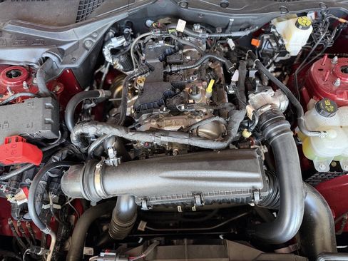 Used 2024 Ford Mustang Premium w/ Mustang Nite Pony Package RWD image 42