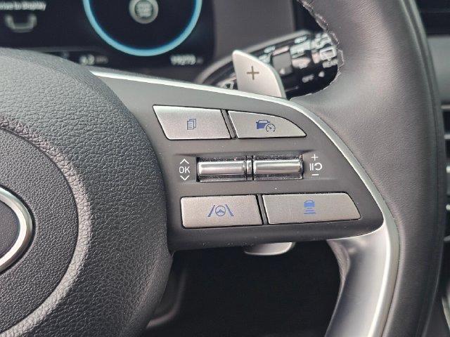 Used 2025 Hyundai Palisade Calligraphy AWD/4WD image 32