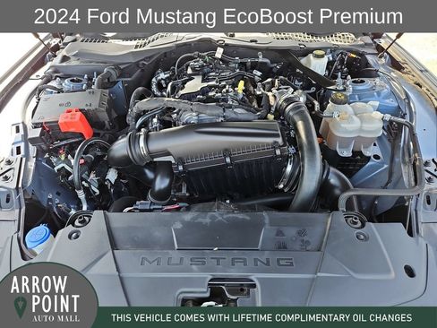 Used 2024 Ford Mustang Premium RWD image 14