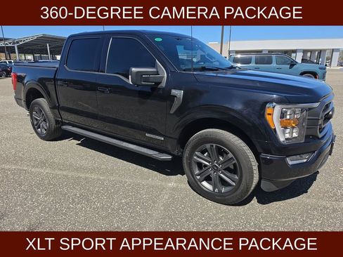 Used 2023 Ford F150 XLT w/ Equipment Group 302A High AWD/4WD image 4