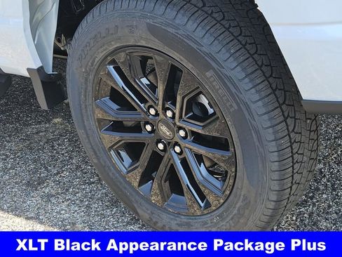 New 2025 Ford F150 XLT w/ Equipment Group 302A MID image 9