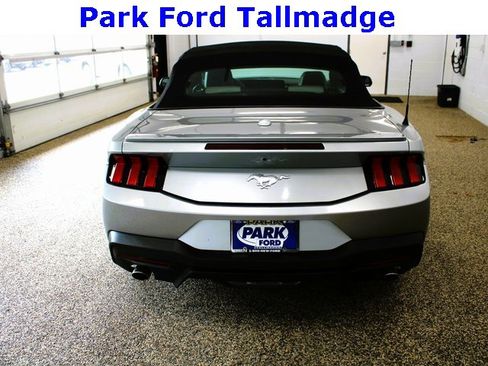 Used 2024 Ford Mustang Premium image 4