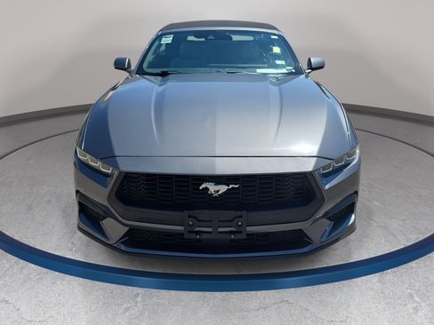 Used 2024 Ford Mustang Premium RWD image 2